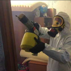 Уничтожение клопов в квартире. Сланцы